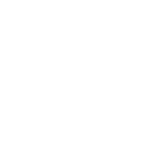 Social Emotional Development